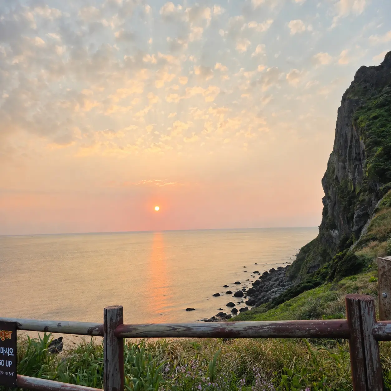 일본 미식가도 반한 제주 여행