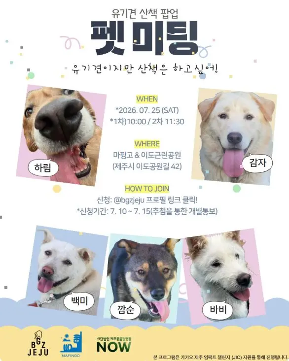 유기견 산책 팝업