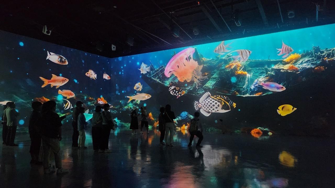 Visit Jeju : 夏におすすめ！涼しく楽しむチェジュの展覧会