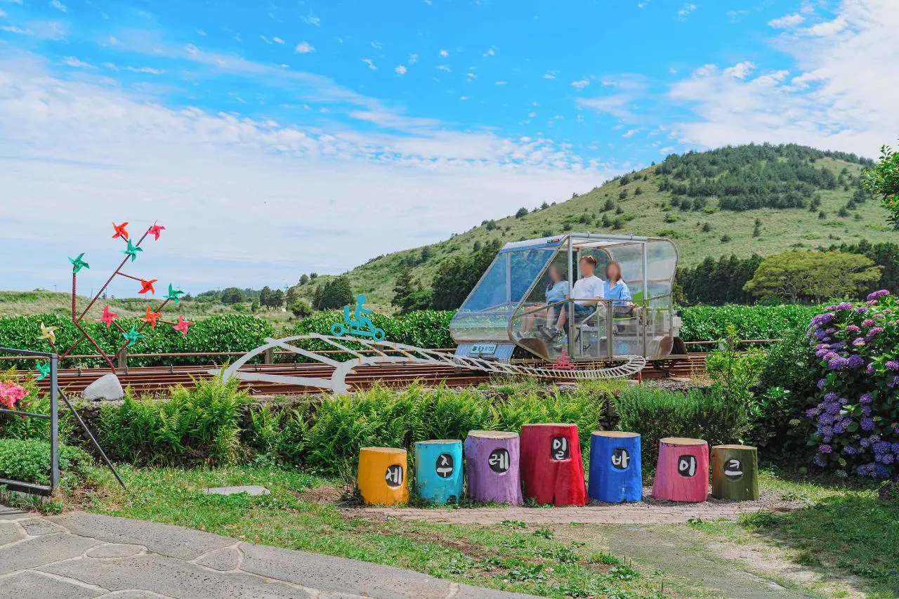 濟州鐵軌自行車 Jeju Rail Bike 在舊左邑草原軌道行駛的真實景觀