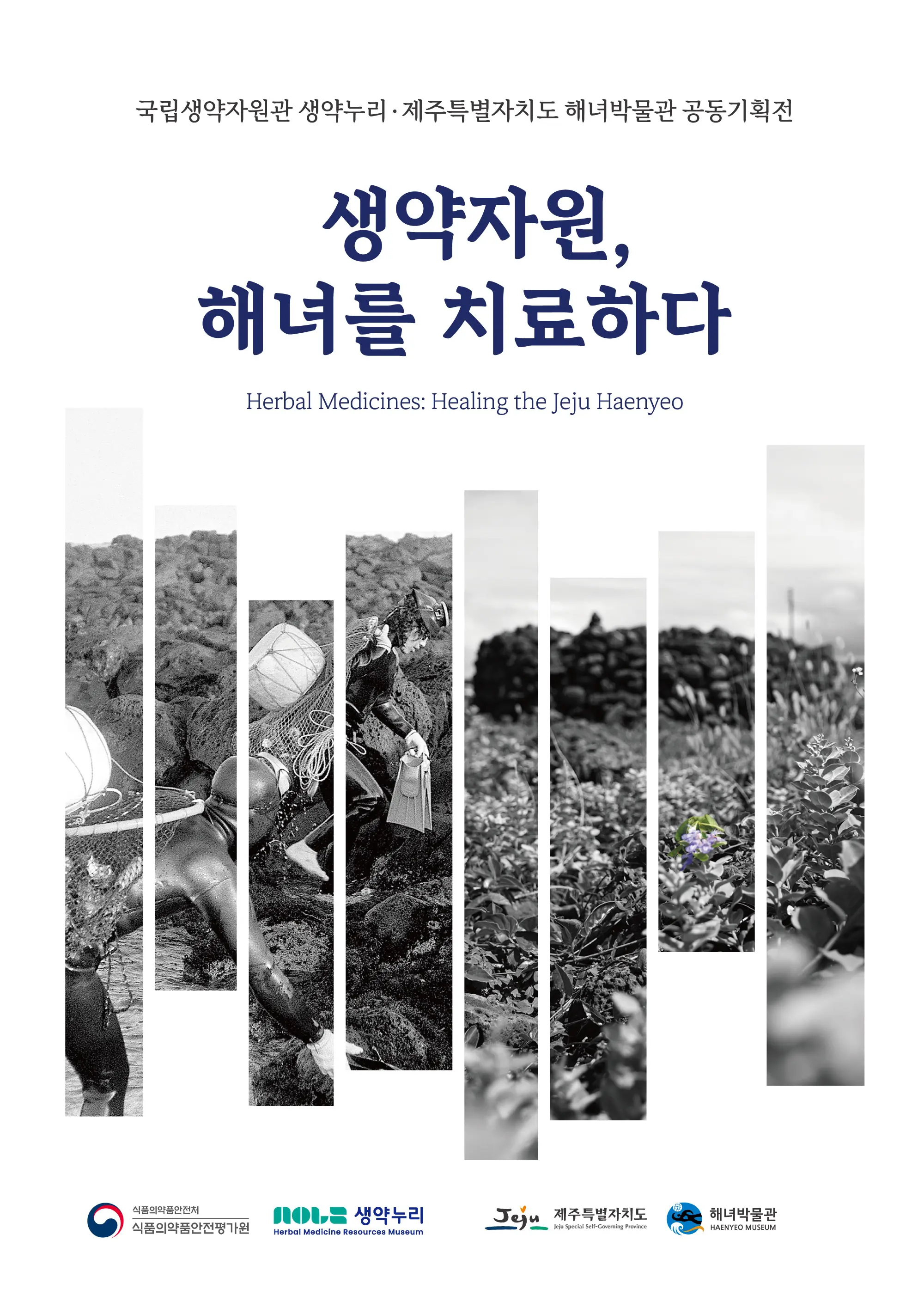 생약자원, 해녀를 치료하다