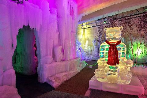 수목원테마파크_2025.11.11 영업종료(리모델링공사) / 2026.03.01 재오픈 예정