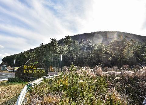 Bulgeun Oreum Natural Recreation Forest 