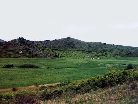 도리미오름 사진