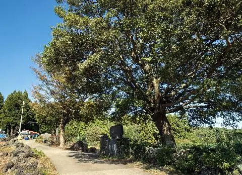 영남동 사진