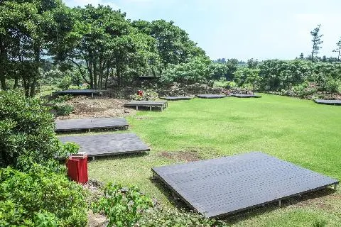 제주돌하르방캠핑장 사진