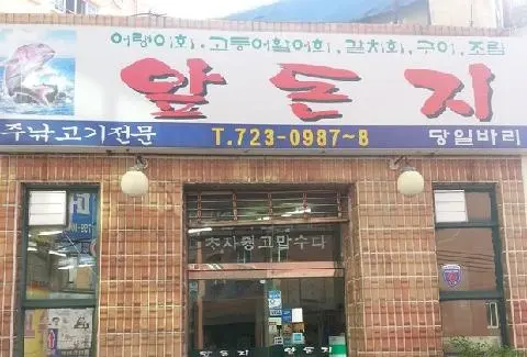 앞돈지 사진