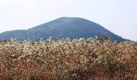 높은오름 사진