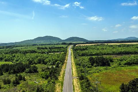鹿山路油菜花路