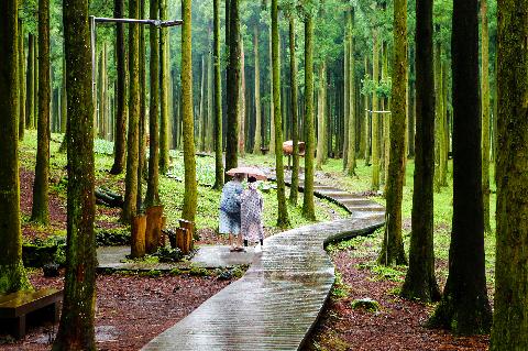 On rainy autumn days, recommended famous sites to visit 대표이미지