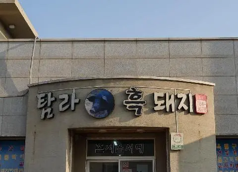 탐라흑돼지 사진