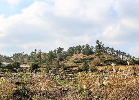 판포오름 (널개오름, 板浦岳) 사진