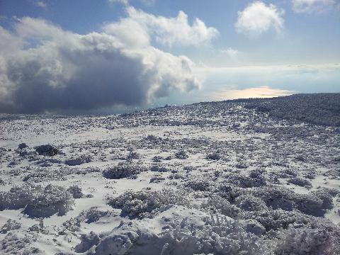 윗세오름(웃세오름)