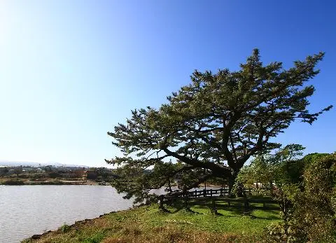수산저수지 사진