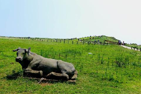 Udo Island (Maritime Park)