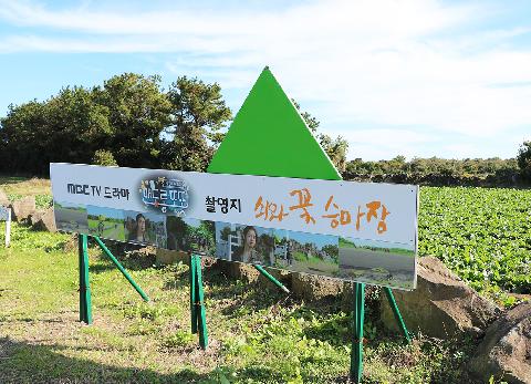 쇠와꽃 승마장