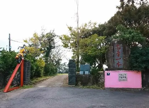 제주국제예술센터 사진