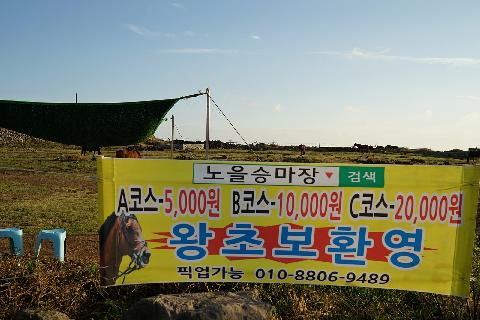 노을승마장
