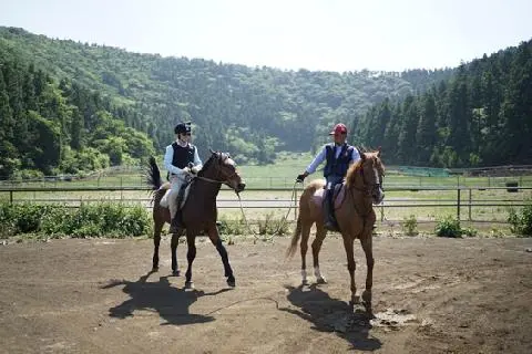 제주오름승마랜드 사진