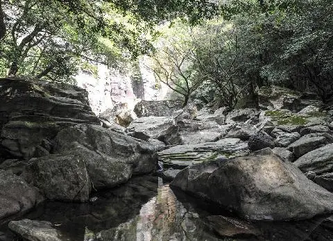 제주올레 7-1코스 사진