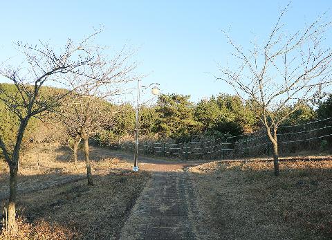 모구리오름