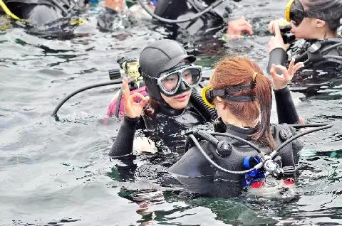 조이다이브 사진