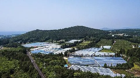 자배봉(자배오름,망오름) 사진