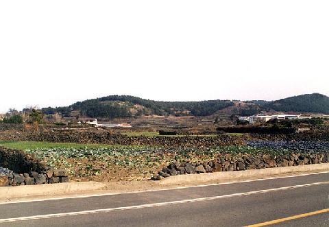 Gwakji Seashell Mound