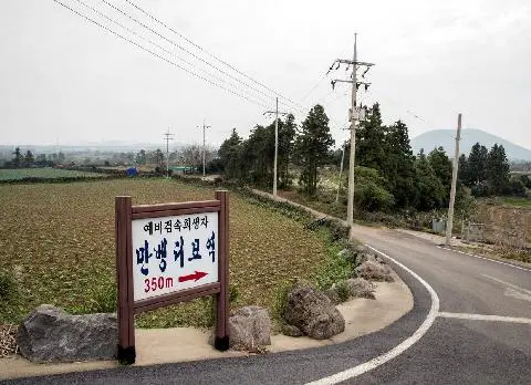 만벵듸 공동장지 사진