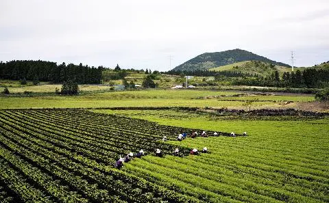 송당리 사진