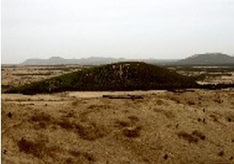 새끼오름 (샛기오름)