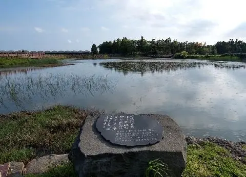 수월이못 사진