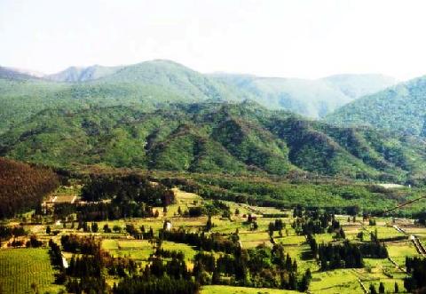 골머리 (洞山, 笏頭岳, 아흔아홉골)