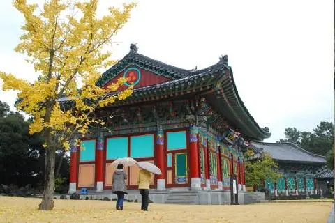 제주불교성지 순례길 절로 가는길 - 지계의 길 사진