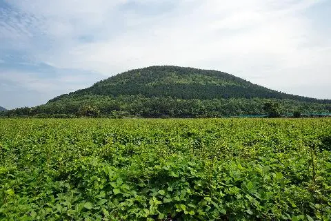 돛오름 사진