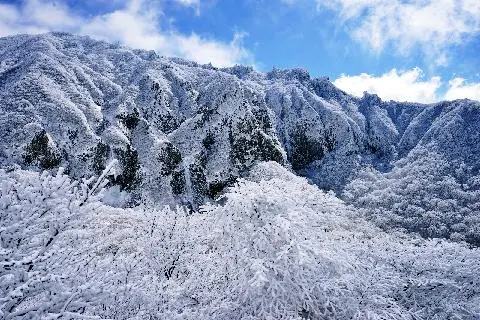 오백나한 사진