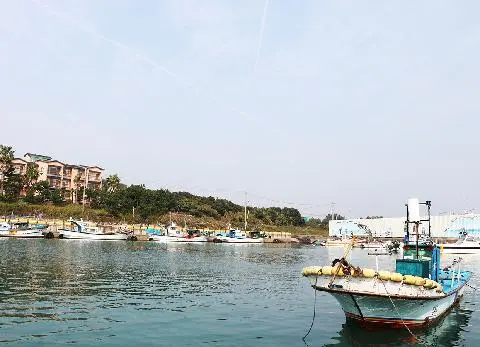 태흥포구 사진