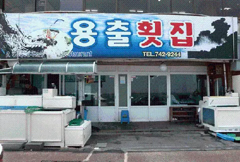 용출횟집 사진