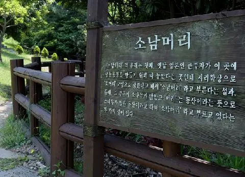 소남머리 사진