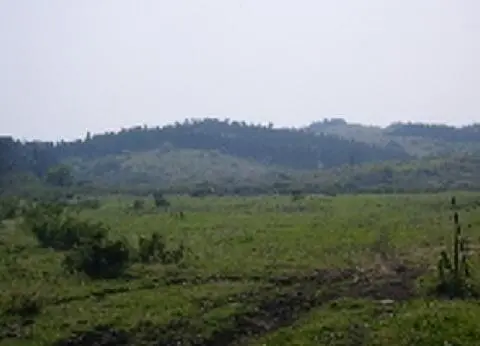 선족이오름(알선족이) 사진