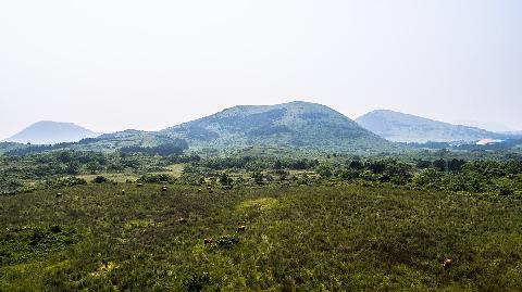 堂岳（安德面） 대표이미지