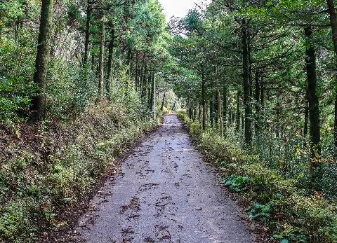 고근산(고공산) 사진