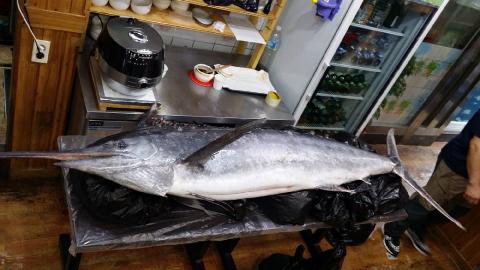 연동마라도횟집