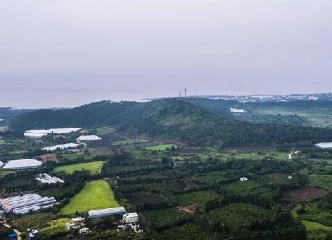매오름 사진