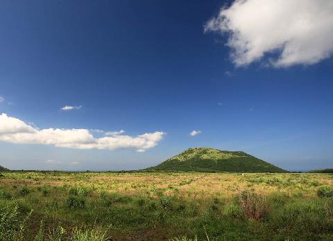 Darangswi Oreum Volcanic Cone (Wollangbong)