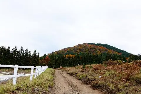 천아오름(틍낭오름,天娥岳) 사진