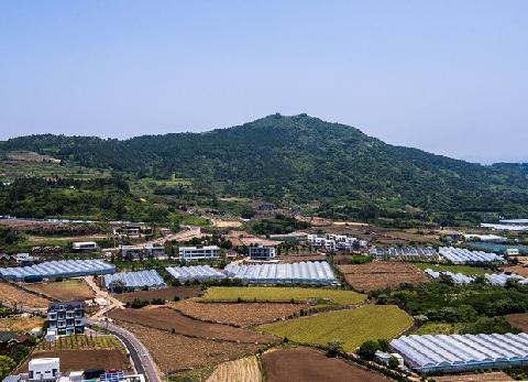 군산(군산오름,코메오름)