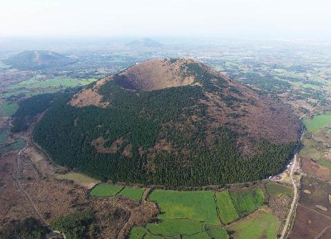 Darangswi Oreum Volcanic Cone (Wollangbong)