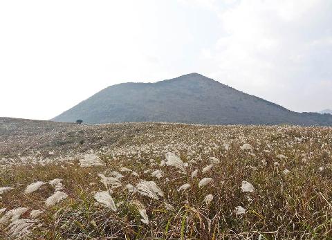 Darangswi Oreum Volcanic Cone (Wollangbong)