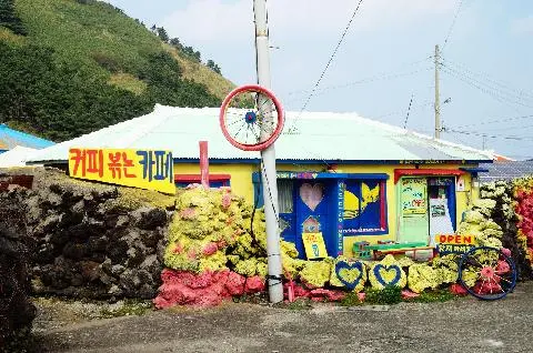 재게재게옵서 카페 사진